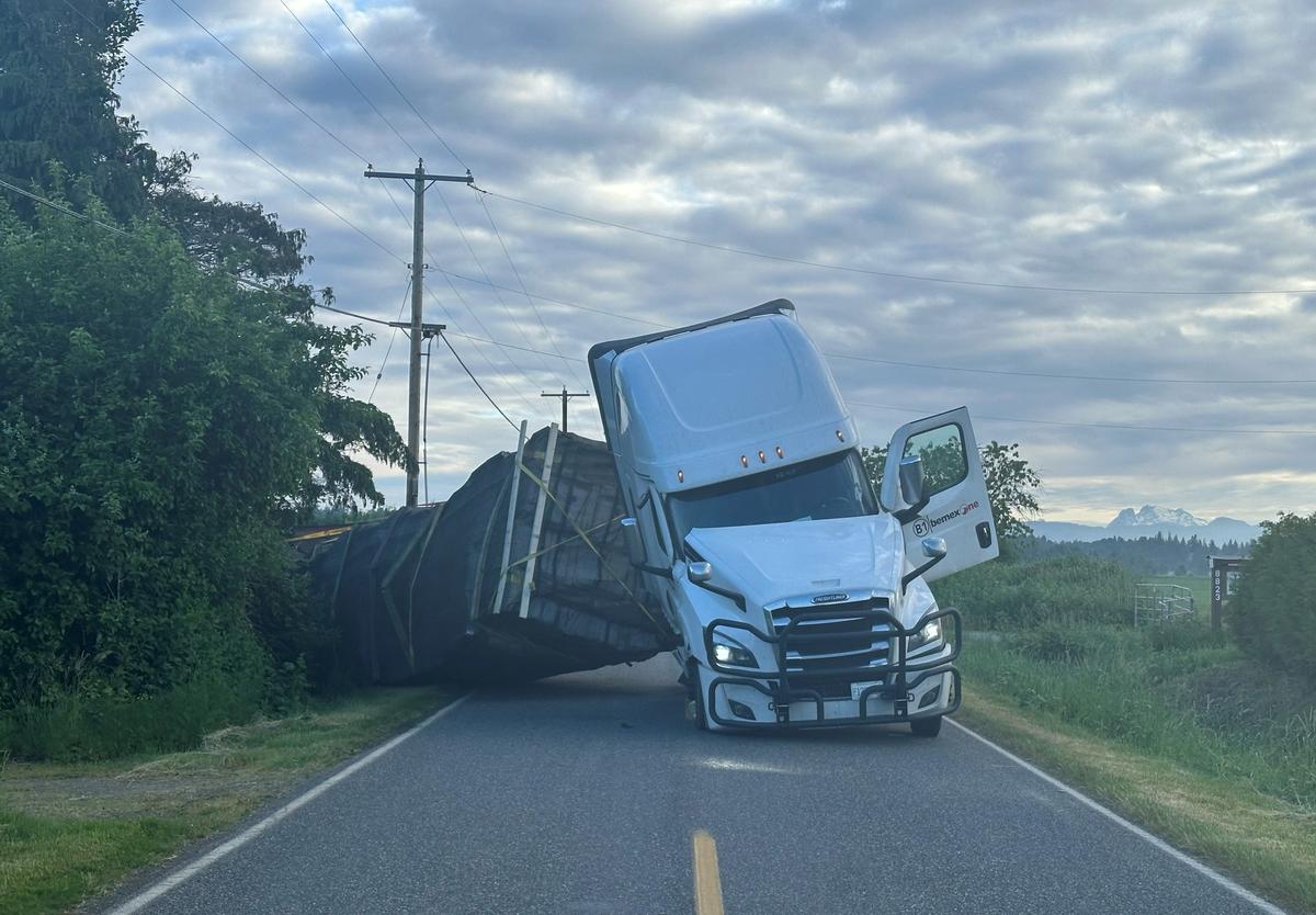 bees loose truck