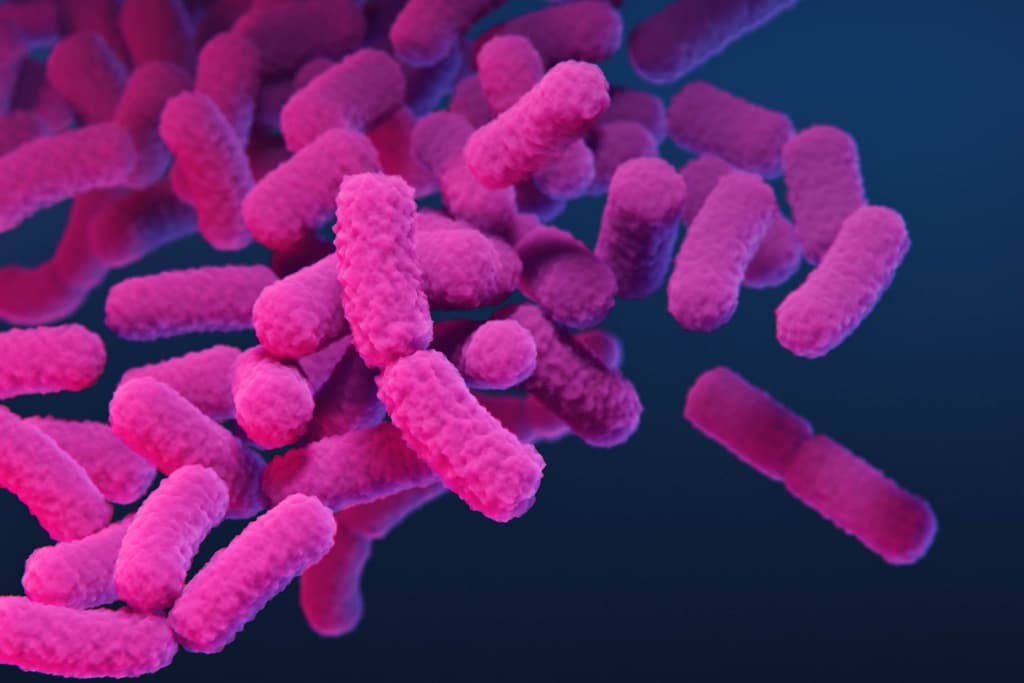 So-Called 'Nightmare Bacteria' NDM Cases Increasing