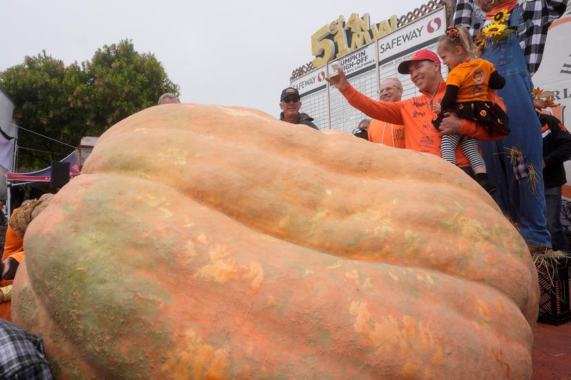 Travis Gienger, of Anoka, Minn., second from right, celebrates with his daughter Lily, 3, after his pumpkin weighed in at 2,471 pounds to win at the Safeway World Championship Pumpkin Weigh-Off in Half Moon Bay, Calif., Monday, Oct. 14, 2024. 