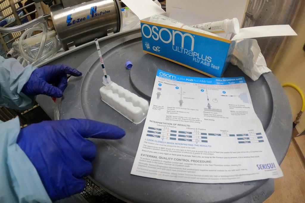 Researcher performs a rapid antigen test on milk from a dairy cow inoculated against bird flu in a containment building at the National Animal Disease Center research facility in Ames, Iowa