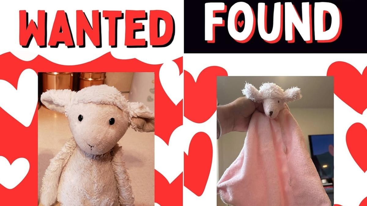 A split screen of Wanted and Found and two pictures of stuffed sheep