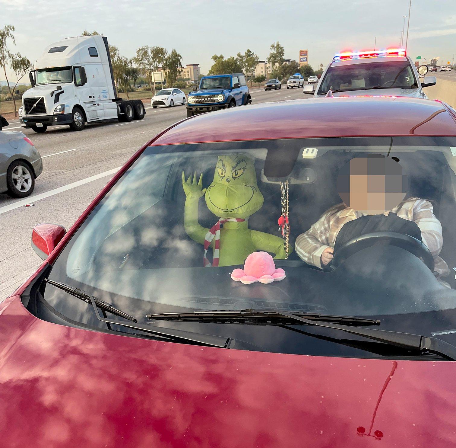 Driver in the high-occupancy vehicle (HOV) lane with a Seusspicious-looking "passenger" on I-10